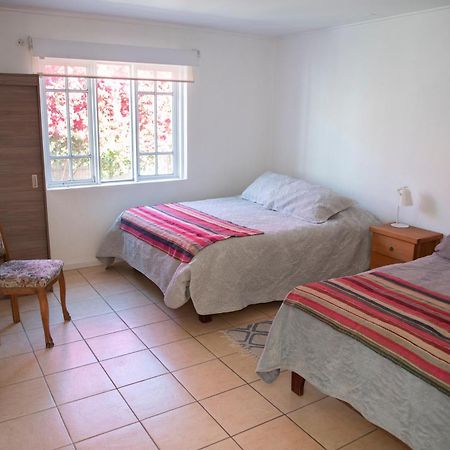 Hostal Casa 95 Vicuna Ngoại thất bức ảnh